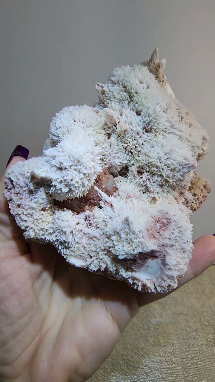 Mordenite and Scolecite with Stilbite Specimen from India