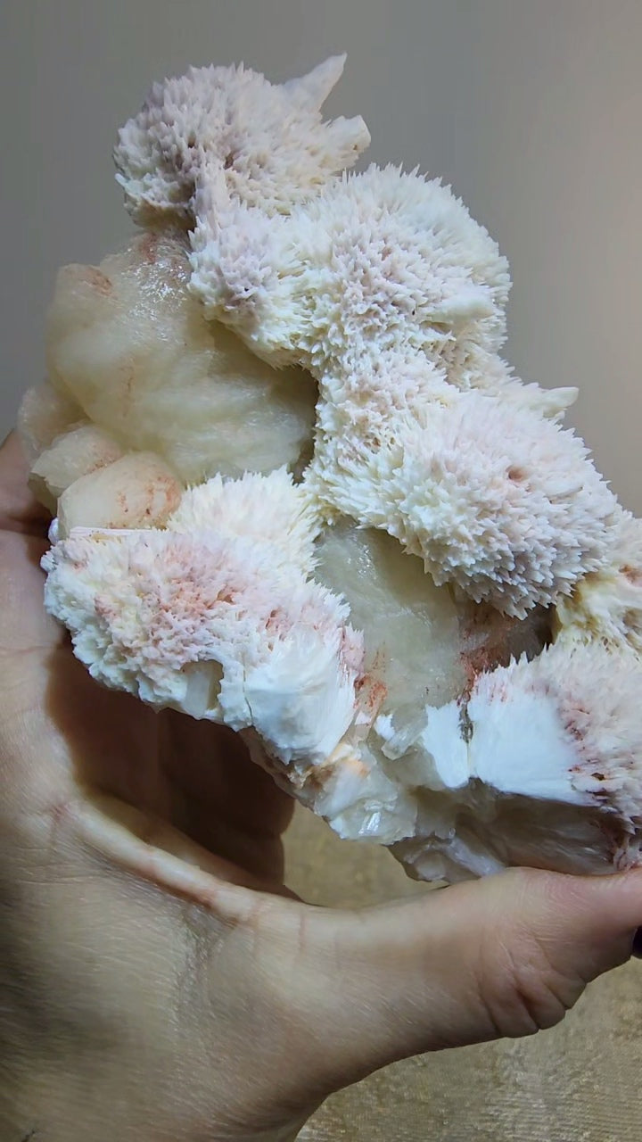 Mordenite and Scolecite with Stilbite Specimen from India