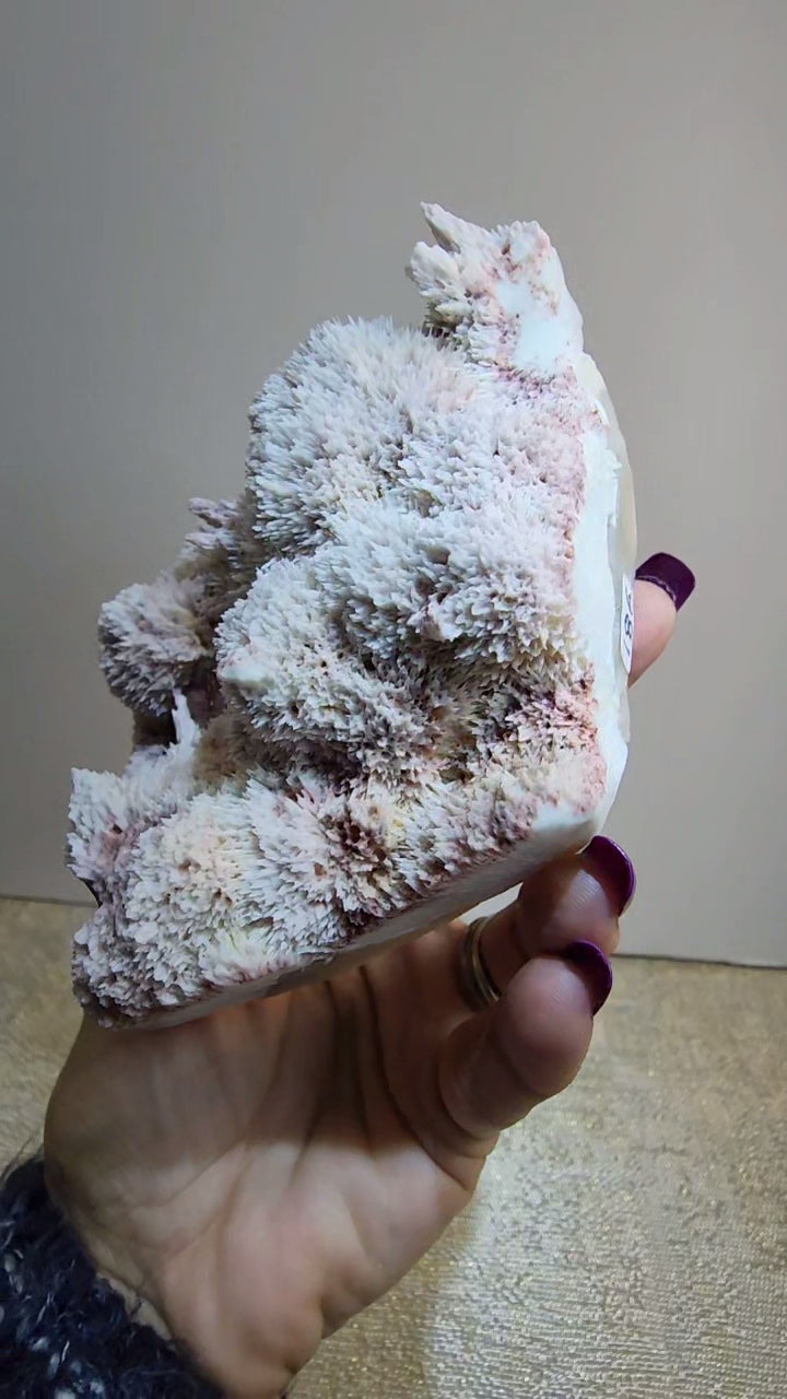Mordenite and Scolecite with Stilbite Specimen from India