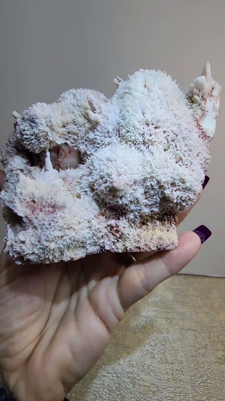 Mordenite and Scolecite with Stilbite Specimen from India