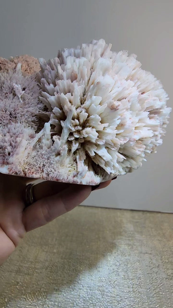 Large Mordenite and Scolecite Specimen with Stilbite from India