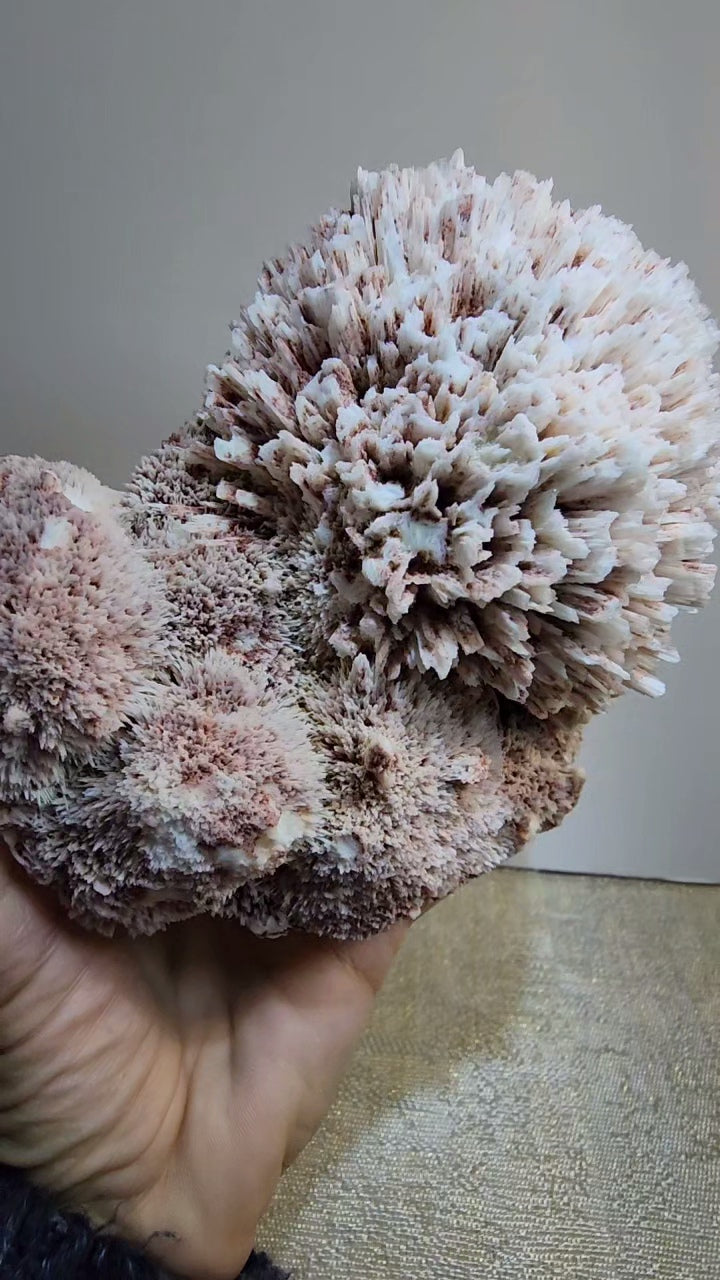 Large Mordenite and Scolecite Specimen with Stilbite from India
