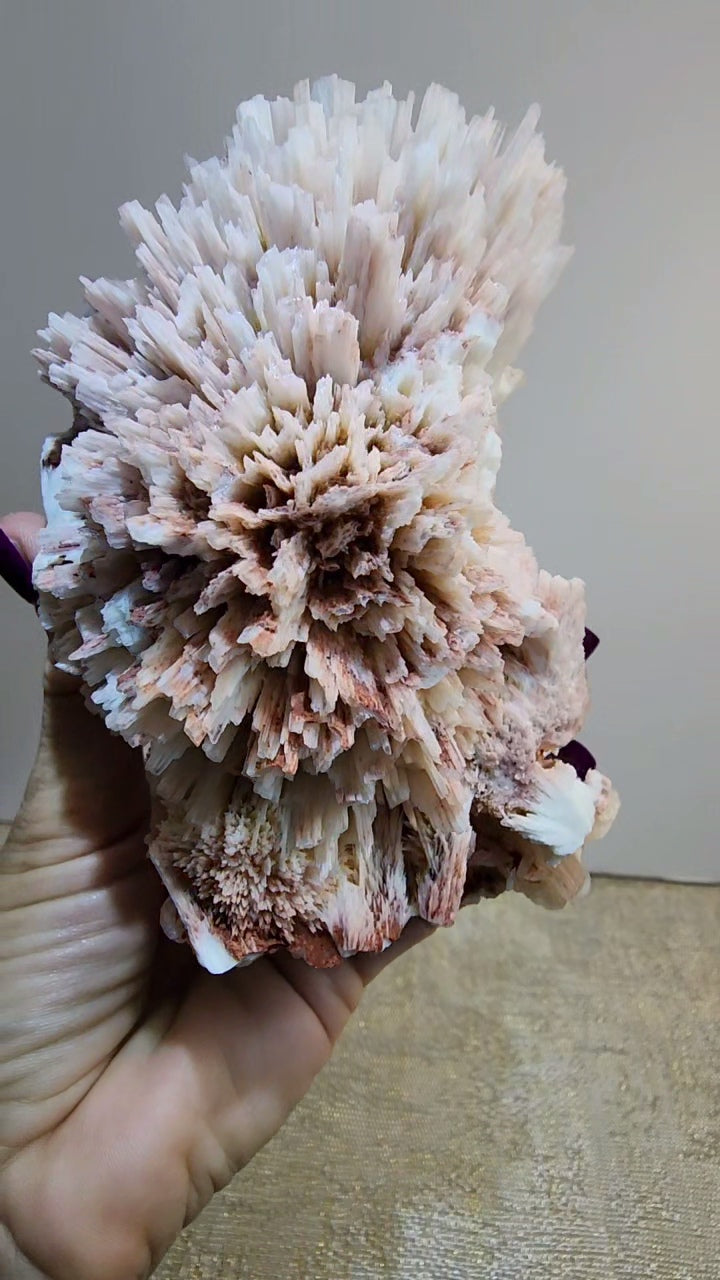 Red Mordenite with Scolecite and Stilbite from India