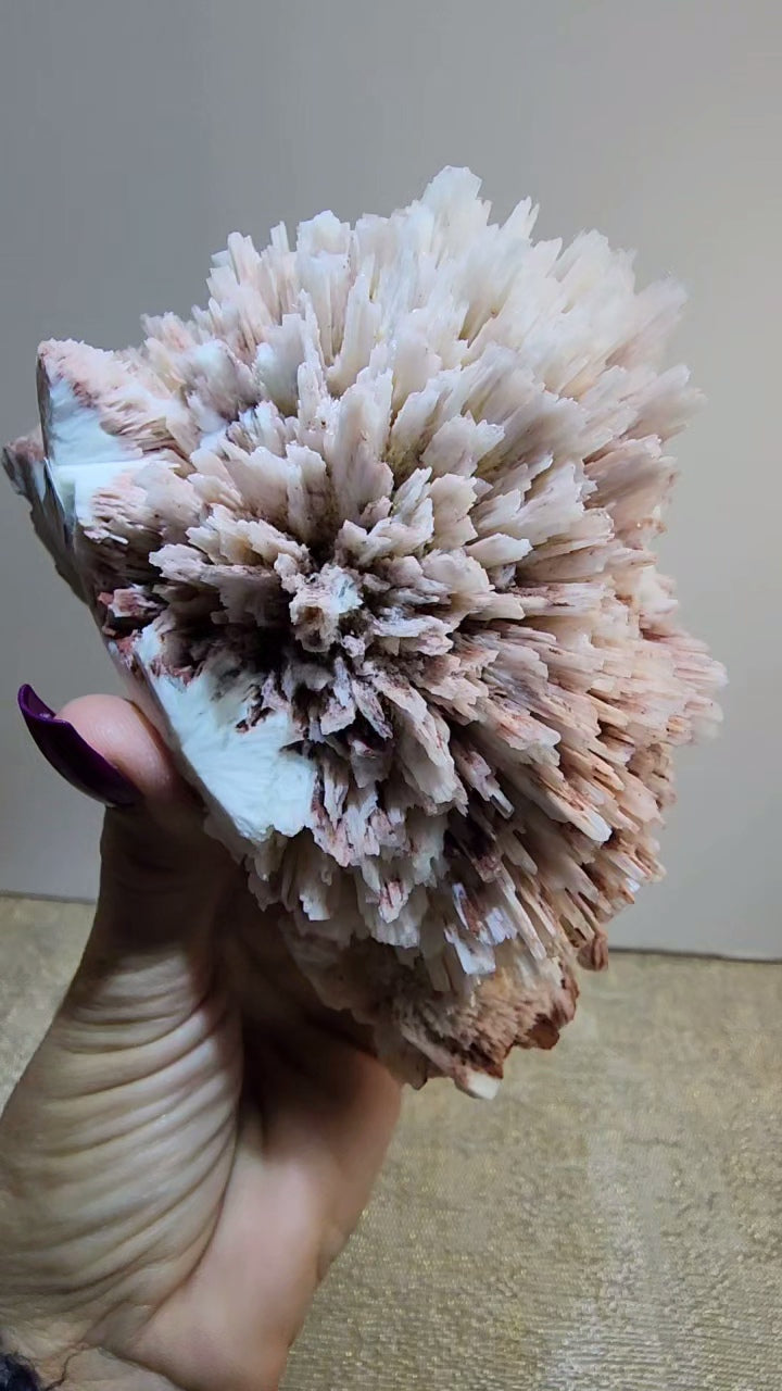 Red Mordenite with Scolecite and Stilbite from India