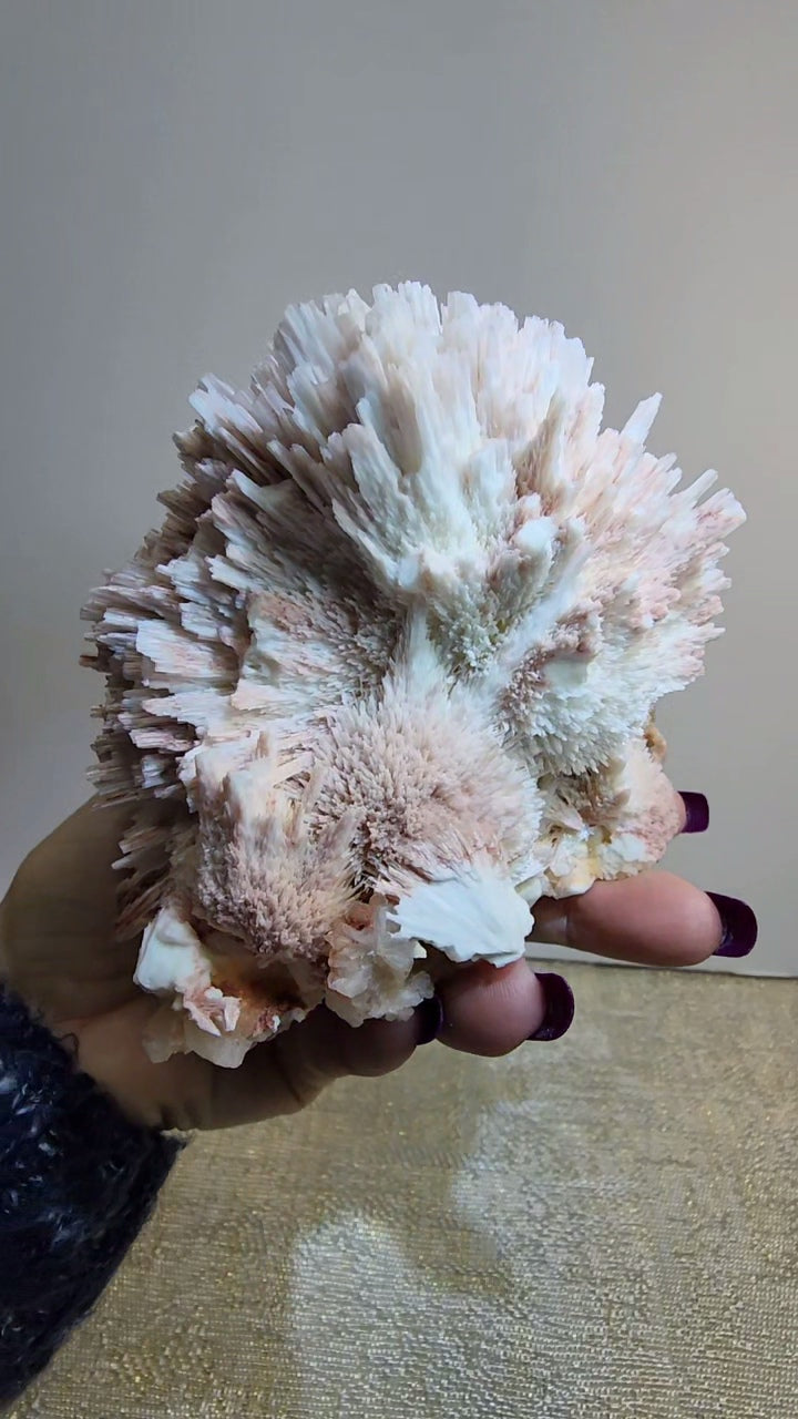 Red Mordenite with Scolecite and Stilbite from India