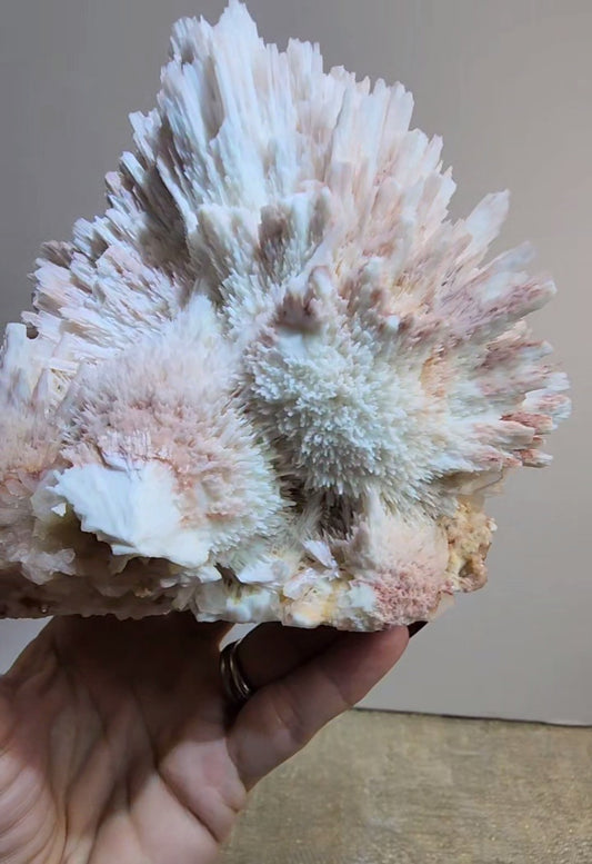 Red Mordenite with Scolecite and Stilbite from India
