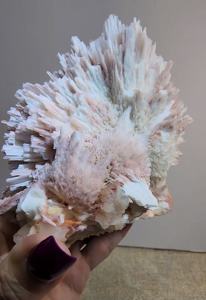 Red Mordenite with Scolecite and Stilbite from India