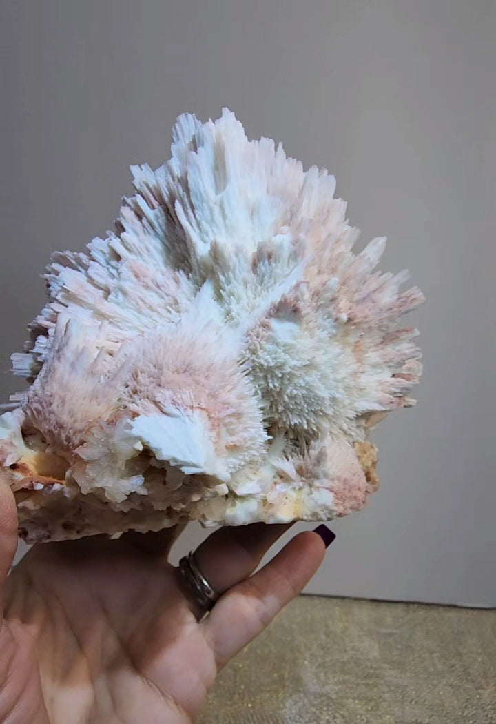Red Mordenite with Scolecite and Stilbite from India