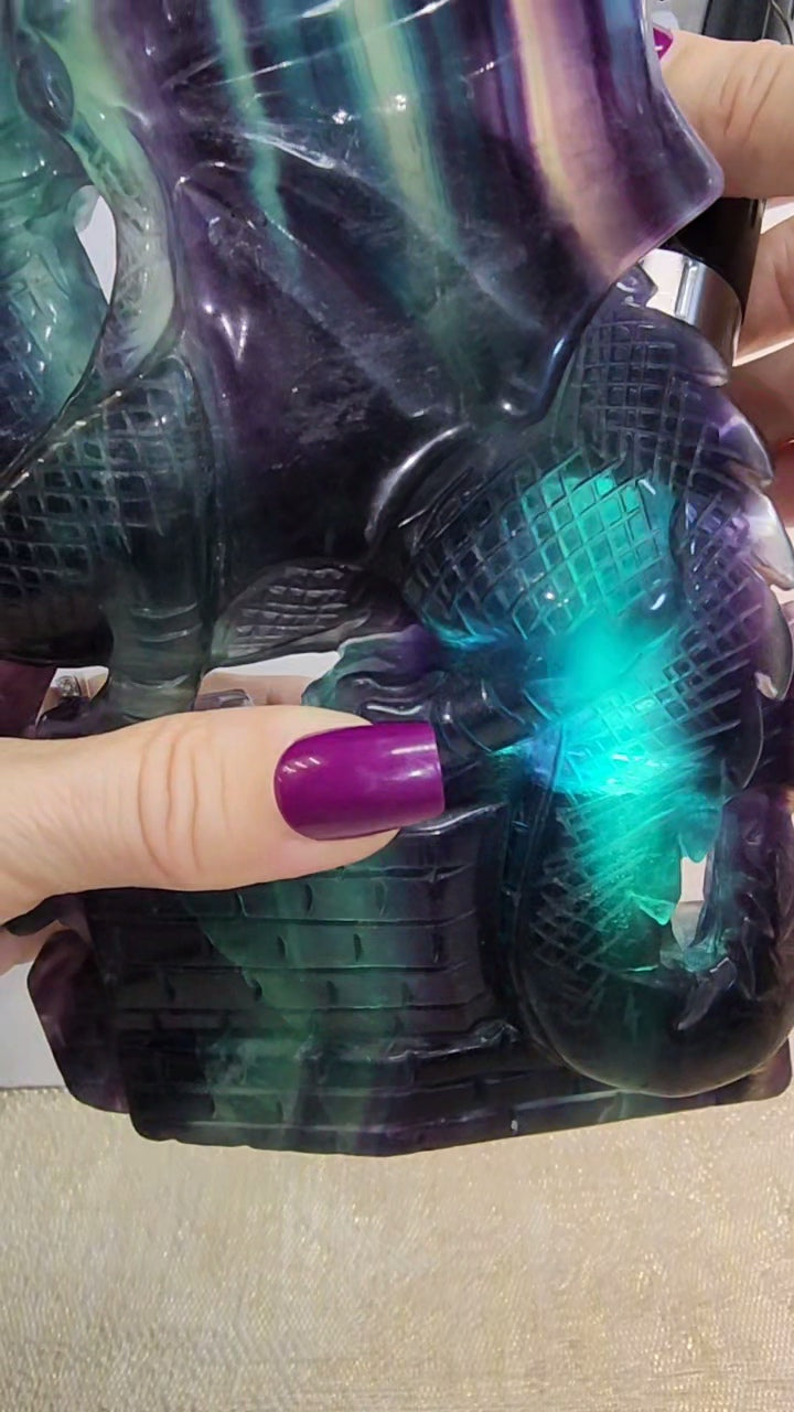 Large HQ Banded Fluorite Dragon