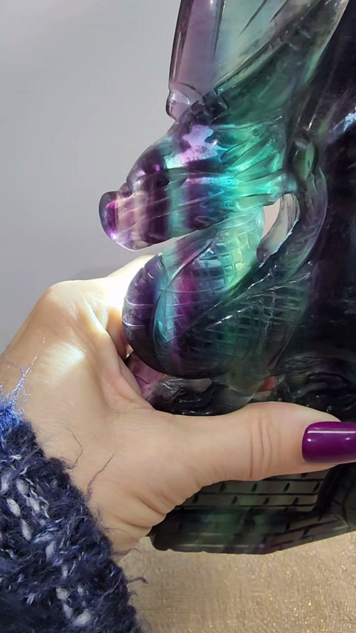 Large HQ Banded Fluorite Dragon