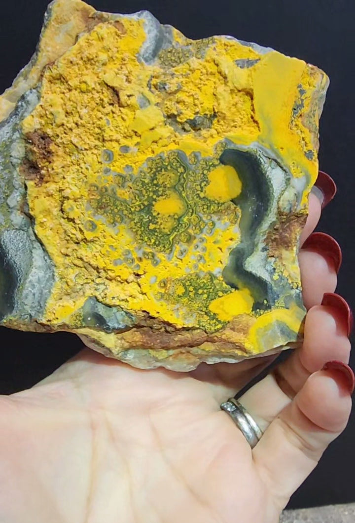 Bumble Bee Jasper Slab