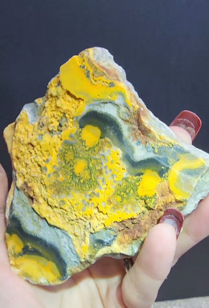 Bumble Bee Jasper Slab