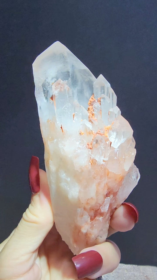 Red Mud Pineapple Quartz Cluster