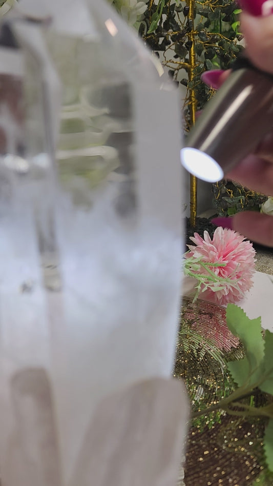 1 Basket Reserved for Mary