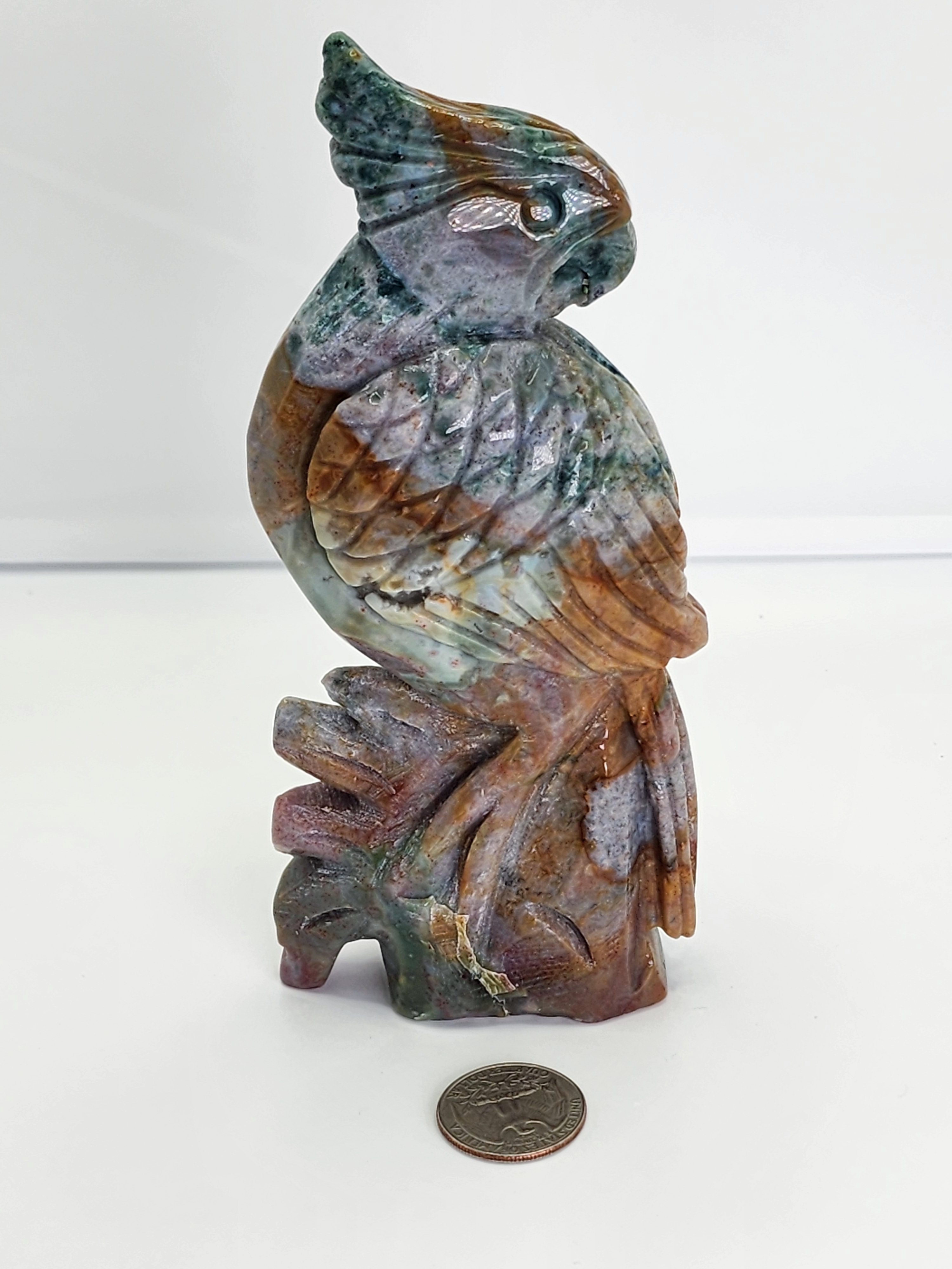 Ocean jasper parrot, parrot carving, stone carving, ocean jasper carvings, crystals, crystal carvings